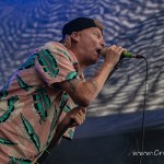 0303 Fajtfest 2022